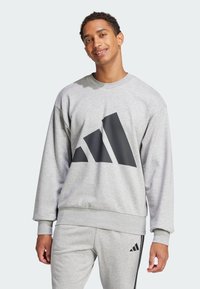 Gray sweatshirt with a round neckline and long sleeves featuring a large black triangular logo. Smooth texture, ribbed cuffs, and hem.