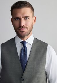 Mand med kort brunt hår og skæg iført grå vest, hvid skjorte og blå slips med prikker, set forfra mod neutral baggrund.