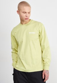 Dickies TIMBERVILLE TEE - Hosszú ujjú felső - pale green