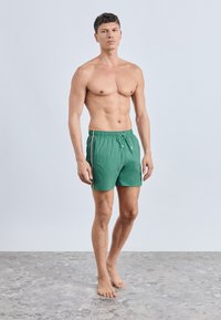 Zelené plavkové šortky so sťahovacím pásom na šnúrku, s bočnými detailmi, jednoliatou textúrou a voľným strihom, nosené mužským modelom.