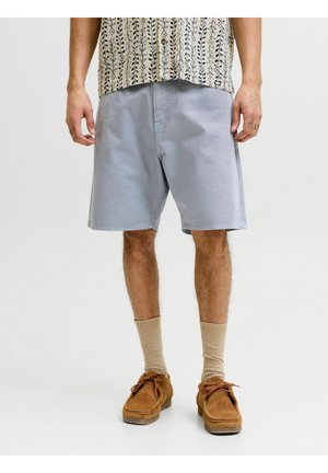 Homme portant un short gris clair jusqu'aux genoux, des chaussettes beiges, des chaussures marron style mocassin et une chemise crème avec des motifs de feuilles bleues.