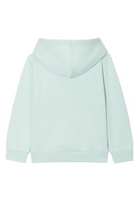 Felpa verde menta chiaro, realizzata in tessuto morbido. Presenta una tasca frontale tipo kangaroo, polsini a costine e un cappuccio con coulisse.
