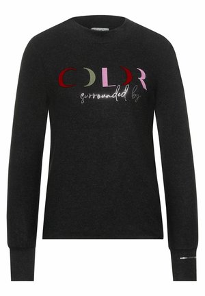 Mørkegrå langærmet sweater med flerfarvet "COLOR surrounded by" tekst på brystet og "NORDIC LIGHTS" på venstre manchet.