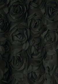 Bruuns Bazaar CLARKIABBCHI DRESS - Koktel haljina / svečana haljina - black