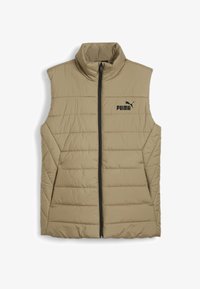 Selezionato, oak branch