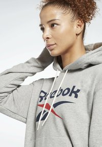 Reebok FRENCH TERRY ELEMENTS WORKOUT TRACK HOODIE - Hoodie - grey