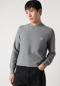 BOSS ANION - Vesta - light pastel gray