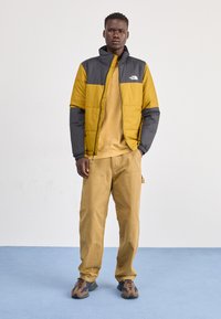 The North Face GOSEI  - Winterjacke - moss green