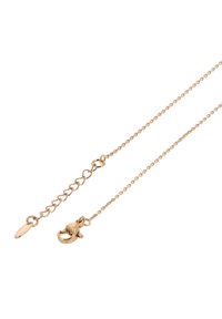 Arannyal bevont lánc nyaklánc, homár záras kivitelben, finom láncszemekkel és állítható hosszabbítással, melyen egy kis ovális címke található.