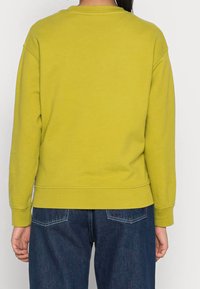 Sudadera verde lima con cuello redondo y mangas largas, que presenta un corte holgado y un dobladillo acanalado. La vista posterior muestra una tela lisa y sin patrones.