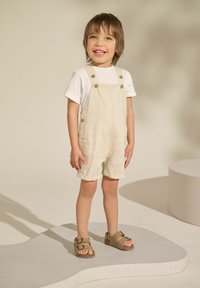 Miniatuurafbeelding 2