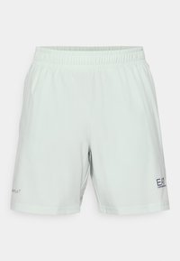 Hellgrüne Sportshorts mit einem elastischen Bund, hergestellt aus einem glatten Stoff. Mit blauem Logo-Detail auf der unteren Vorderseite.