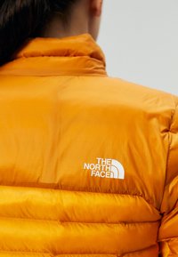 The North Face TERRA PEAK JACKET - Giacca invernale - apricot glaze/iron citrus