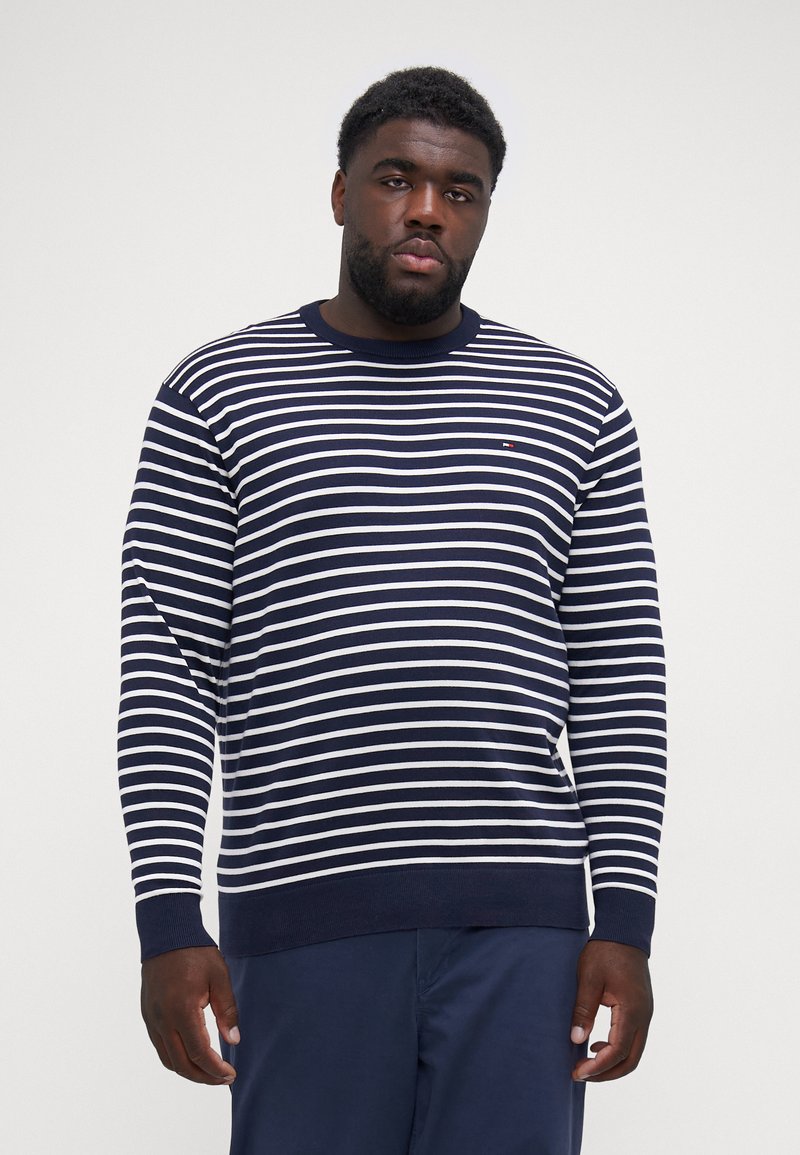 Maglione a righe blu navy e bianche, collo a giro, maniche lunghe, polsini e orlo ribattuti, realizzato in tessuto a maglia con un sottile logo sul petto.