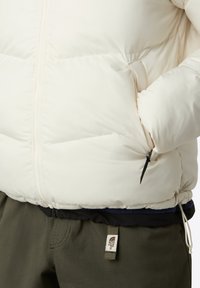 The North Face M SAIKURU JACKET - Vinterjacka - mushroom grey/white dun