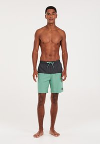 Protest PRTHELI - Shorts da mare - frosty green