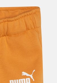 Puma MINICATS RAGLAN SET - Träningsset - ginger tea