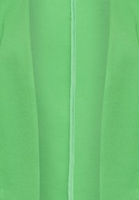 Tissu vert vif à texture lisse ; comporte une couture centrale sur toute la longueur et un design minimaliste. Convient à divers styles décontractés.