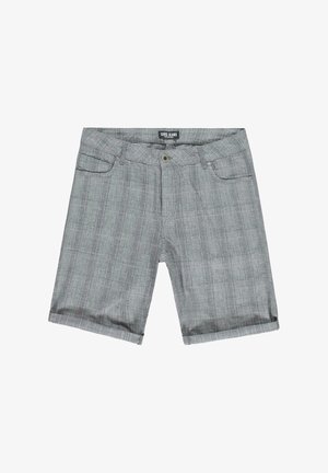 Grijze geruite shorts van een textuurstof, met een knoop- en ritssluiting, voorzakken en opgerolde zomen voor een casual uitstraling.