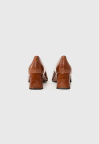 Brown leather high-heeled shoes featuring a pointed toe and a chunky heel. Smooth texture with minimal stitching detail.