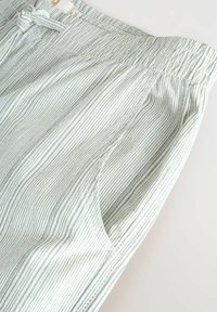 Shorts rayés vert clair en tissu léger, avec une ceinture élastique munie d'un cordon de serrage et des poches latérales. Design minimaliste.