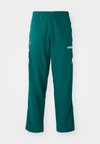 TRACK PANT - Tracksuit bottoms - collegiate green