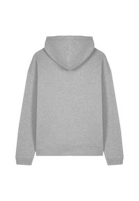 Effen lichtgrijze hoodie zichtbaar van de achterkant, met lange mouwen, een capuchon en ribgebreide manchetten en onderkant.