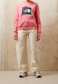 Felpa rosa con logo grafico, pantaloni cargo beige con tasche laterali e scarpe sportive argentate. Design semplice con una vestibilità comoda.
