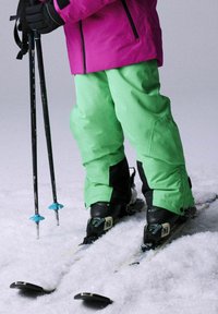 Name it NKNSLOPE EDITION FO NOOS UNISEX - Lumepüksid - irish green