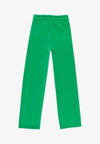 Groene, rekbare broek met een elastische tailleband en een soepele textuur, met een eenvoudig ontwerp zonder patronen of accenten.