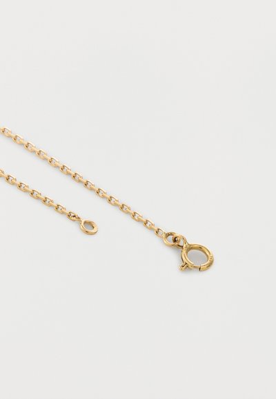 Κολιέ με αλυσίδα από χρυσά οβάλ κρίκους και στρογγυλό ελατήριο κούμπωμα σε λευκό φόντο.