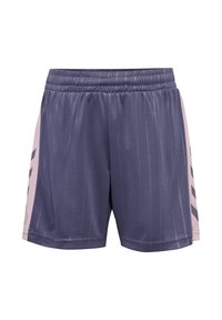 Hummel - GOAL STRIPE - Short de sport - heron Image miniature 1