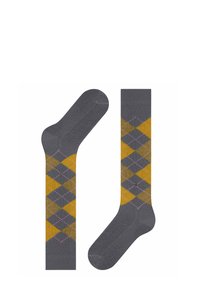 Calze grigie a motivo con un design argyle, caratterizzate da diamanti gialli, oliva e rosa. Una calza è posizionata in verticale, l'altra è piatta.