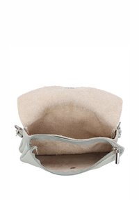 Šviesiai žalios odos delninė su minkšta, smėlio spalvos zomšine vidine dalimi; turi užtrauktuko užsegimą ir minimalistinį dizainą.