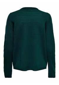 Maglione lavorato a maglia verde scuro con maniche lunghe, collo a giro e una vestibilità rilassata. Texture liscia e design semplice, senza motivi o decorazioni.