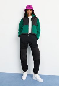 The North Face W RETRO DENALI JACKET - Giacca in pile - evergreen/black