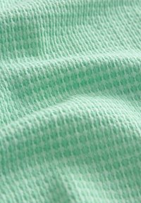 Baker by Ted Baker TEXTURED  REGULAR FIT - Polokošeľa - green