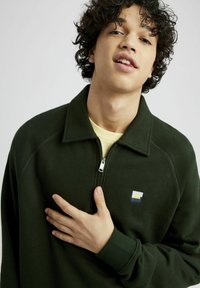 BZB COL RAGLAN - Sweatshirt - vert