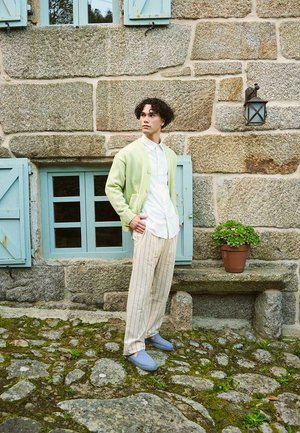 Cardigan vert clair sur une chemise blanche, associé à un pantalon beige rayé et des chaussures bleues. Fond en pierre naturelle avec une plante en pot.