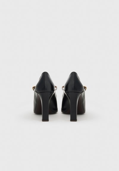 Pantofi cu toc înalt din piele neagră, cu vârf ascuțit și toc gros și solid. Prezintă o textură netedă și un design minimalist.