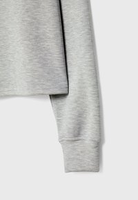 Light gray sweatshirt with a slightly textured fabric, featuring a crew neck and ribbed cuffs. Stitched hem displays durability and design.