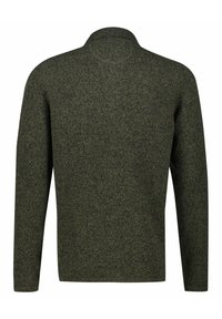 Dunkelgrüner, gestrickter Pullover mit strukturiertem Finish, mit hohem Kragen und langen Ärmeln, Rückansicht ohne weitere Details.