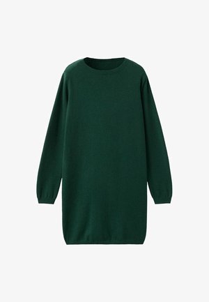 Green knit dress with long sleeves, round neckline, and a relaxed fit. Smooth texture and mid-thigh length. No patterns or visible hardware.