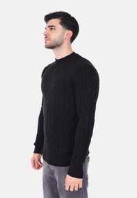 Maglione nero a maglia intrecciata con collo tondo, maniche lunghe e orlo a costine. Il tessuto presenta un motivo testurizzato e una vestibilità aderente.