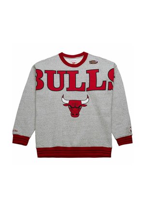 CHICAGO BULLS - Squadra - grey