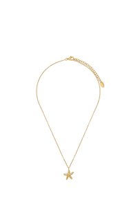 Gouden ketting met een zeester hanger. Fijne schakel, gestructureerd zeester detail, kreeftsluitig, verstelbare lengte.