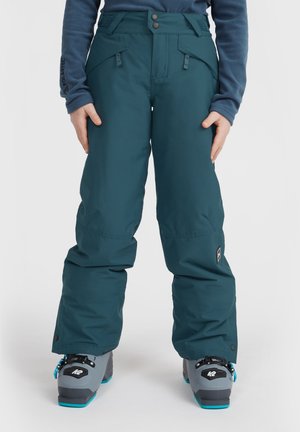 HAMMER - Ski- & snowboardbukser - alma steel