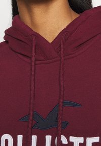 Felpa con cappuccio color granata con cordoncino, con testo ricamato bianco e grafica blu di un uccello. Texture morbida e design casual.