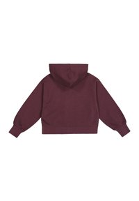 Felpa con cappuccio color bordeaux a design corto. Presenta maniche lunghe, polsini e orlo a coste, e una texture morbida. Visibile la vista posteriore.