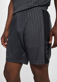 Grå träningsshorts med vertikala ränder, elastisk midja och sidopanel. Har en logotyp i svart accent på vänster ben.